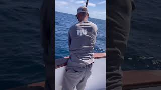 Gaffing a dorado fish fishingvideo fishing fisherman fishinglife [upl. by Prosperus]