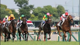 DANON DECILE Norihiro Yokoyama  G1 Japanese Derby [upl. by Syramad]