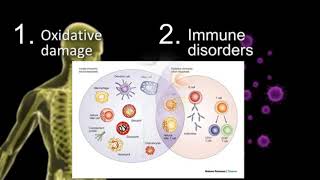 UNDERSTADING THE IMMUNE SYSTEM AND PROGLUCAMUNE [upl. by Daughtry861]