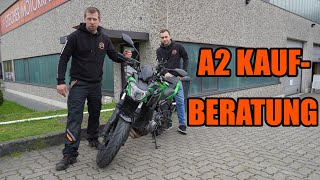 Die BESTEN Motorräder für den A2 Führerschein [upl. by Berfield276]