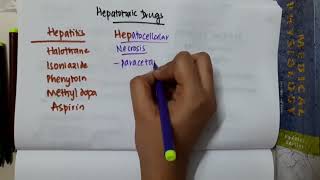 13 10 hepatotoxic drugs mp4  PHARMACOLOGY [upl. by Peregrine]