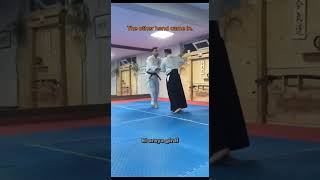 Tenkan  Aikido Teknik Geçişleri [upl. by Ellmyer]