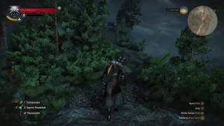 The Witcher 3 Skellige Archgriffin L83 Death March NG L70 Bear School Gear Build [upl. by Anuahs]