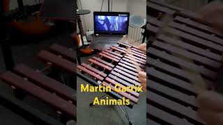 MartinGarrix  Animals cover xylophone ксилофон music animals martingarrix xylophone музыка [upl. by Kassi]