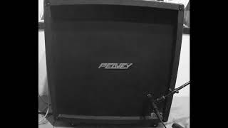 Peavey 5150 4x12 Stock Cab No EQ  Sure SM57 Hard Rock Tone [upl. by Iralav]