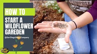 How To Start A Wildflower Garden [upl. by Jamil928]