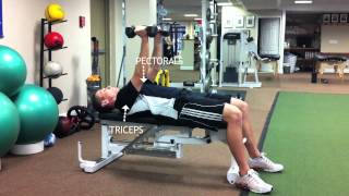 FLAT BENCH HAMMER PRESS [upl. by Redford506]