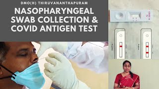 Nasopharyngeal Swab Collection amp Antigen Test Procedure  DMOH TVPM [upl. by Sinnod]