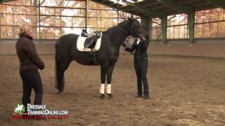 School Of Legerete Dressage training [upl. by Ssac]