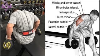 Consigue Hombros Biceps y Triceps Grandes Get Shoulders Biceps and Big Triceps [upl. by Bergquist]