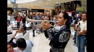 El Niño Perdido Mariachi Femenil Mujer Latina [upl. by Maison]