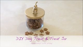 DIY Dog Treat ampTreat Jar [upl. by Alyekahs]