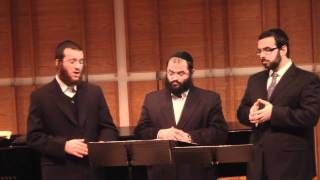 Cantors Yaakov LemmerShimmy MillerZevi Muller [upl. by Oran]