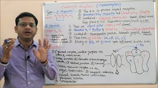 Cholinergic Drugs Part 02  Muscarinic amp Nicotinic Receptors  Cholinergic Receptors  Cholinergic [upl. by Oidgime]