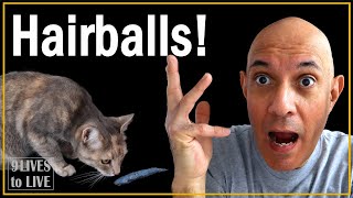 Cat Hairballs How to Help Your Cat [upl. by Davy]