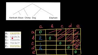 Building Phylogenetic Trees from Molecular Data [upl. by Encratia]