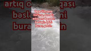 Əgər itin sənə hürürsə deməli artıq onu başqası bəsləyir İpini burax getsin [upl. by Georgy]