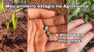 Meu Primeiro Estágio na Agronomia  Dicas para estagiários 🌱🚜 [upl. by Atirec]