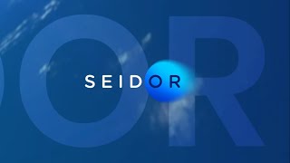 SEIDOR Brasil [upl. by Toddie]