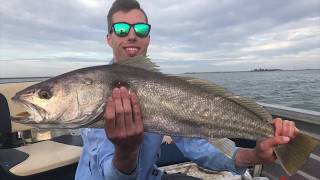 Coorong Mulloway Mission [upl. by Marucci304]