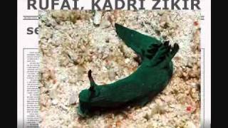 RUFAİ  KADRİ TARİKATI ZİKİR 1 [upl. by Gerhard917]