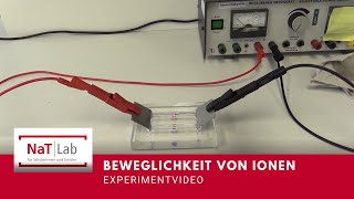 Beweglichkeit von Ionen – Experiment für den Unterricht Chemie [upl. by Namar334]