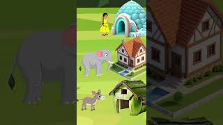 Jadugarni Aur Nariyal ka ghar  cartoonhindi chidiyawalakahani funnycartoon animation cartoon [upl. by Dal993]