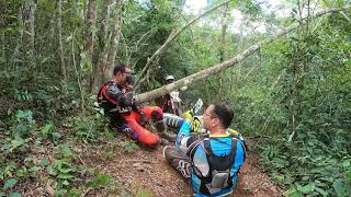 ENDURO EN LAS PICAS CHIMENIAOCUBANO SHERCO KTM husqvarna [upl. by Ataga]