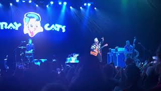 Stray Cats  Stray Cat Strut  Live Bridgeport CT 81724 [upl. by Ahsiya69]