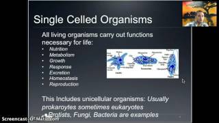 IB 11  Cell Introduction [upl. by Fidela]