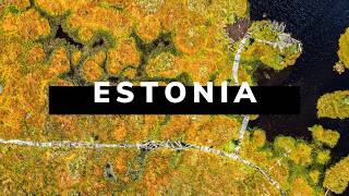 ESTONIA TRAVEL DOCUMENTARY  A Baltic Road Trip Adventure [upl. by Ken]