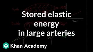 Stored elastic energy in large and middle sized arteries  NCLEXRN  Khan Academy [upl. by Anselmo]