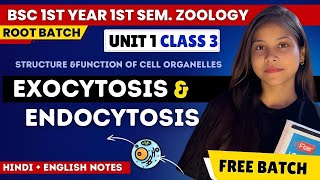 Exocytosis amp Endocytosis BSc 1st year 1st semester unit 1 in Hindi amp English🔥💯 [upl. by Rramahs]