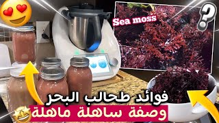 فوائد طحالب البحر sea moss ووصفة للإستفاد منها و تناولها ساهلة ماهلة [upl. by Wylen583]