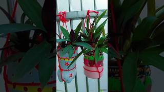 DIYWaste bottle se banaye beautiful planter 🥰🥰🪴🪴shortyoutubeshorthangingpotplants garden 🎋🎋 [upl. by Khalil]