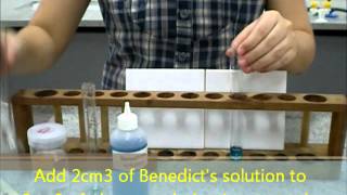 Benedicts test for reducing sugars [upl. by Cherry]