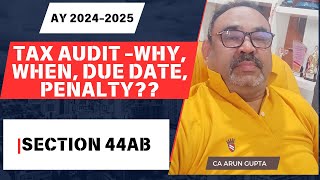 Tax Audit Under Section 44ABWhen Why Penalty [upl. by Stickney349]