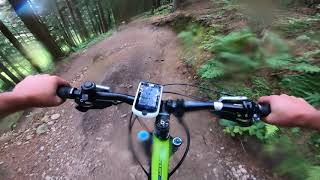 Mountain Biking Dalby Forest Red Trails  Newclose Rig Jerry Noddle and Riggs and Dales Trails [upl. by Tamas]