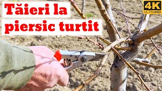 Taieri la piersic turtit fructe turtite [upl. by Grory]