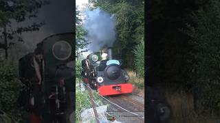 Ffestiniog Railway 2024 Linda amp Blanche hurtle round Penrhyndeudraeth with Snowdonian II Video 👆🏿 [upl. by Campy461]