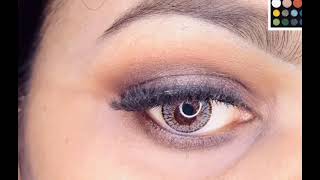 Brown halo eye look stunning classy look for beginners steps by step [upl. by Nodyarb856]