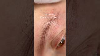 Männer Augenbraue Permanent make up bei Alopezie [upl. by Mulcahy]