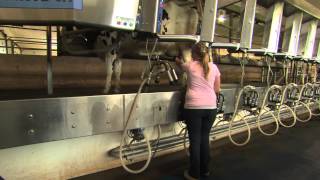 DAIRY FARMERS OF ONTARIO [upl. by Bora]