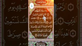 SurahALFATIHAH EgzonIbrahimisurahfatiha quranrecitation qurantilawat quran shorts [upl. by Trudy801]