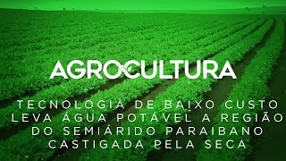 Reportagens especiais de 2019  AgroCultura [upl. by Jamie]