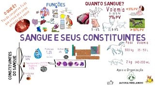 Sangue e seus constituintes [upl. by Birdt]