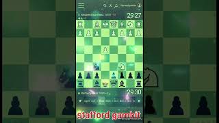 stafford gambit [upl. by Alleul]