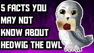 5 Facts You May Not Know About Hedwig The Owl [upl. by Audrye]