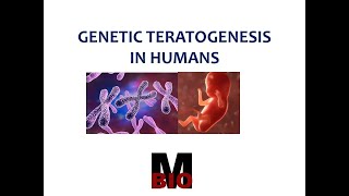 GENETIC TERATOGENESIS IN HUMANS [upl. by Saerdna652]