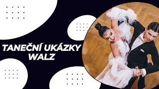 Taneční ukázky David Kazda a Jasmina Jelínková  standardní tance WALTZ [upl. by Micco]